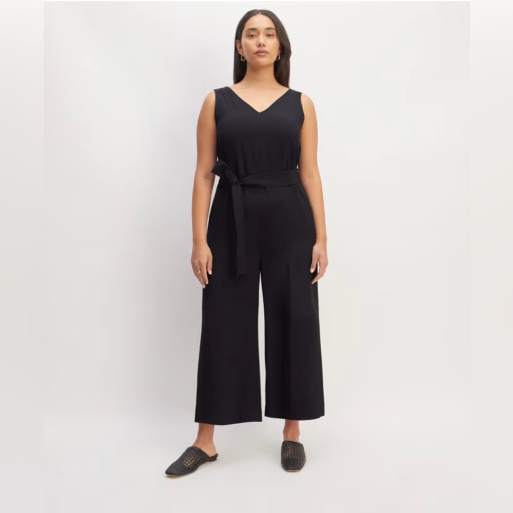 Everlane Japanese GoWeave Belted Jumpsuit in Black